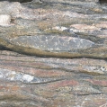 Flattened pebbles